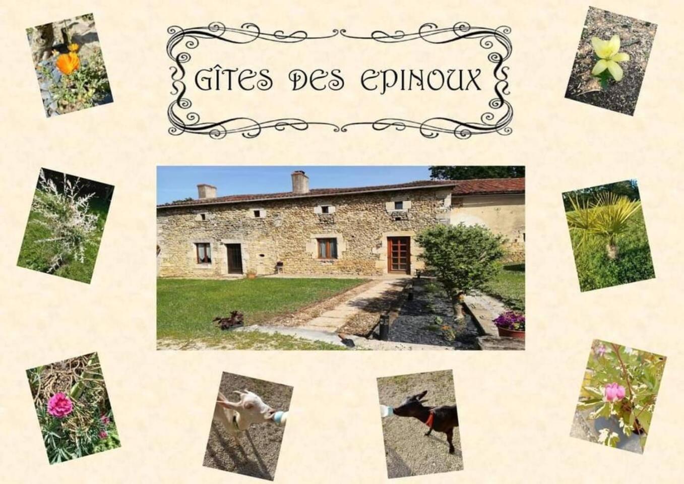 Le Papillon Villa Savigne Luaran gambar